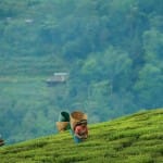 nort east summer destination shilong gangtok