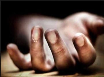 Woman falls off tree, death