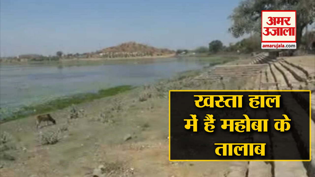 महोबा