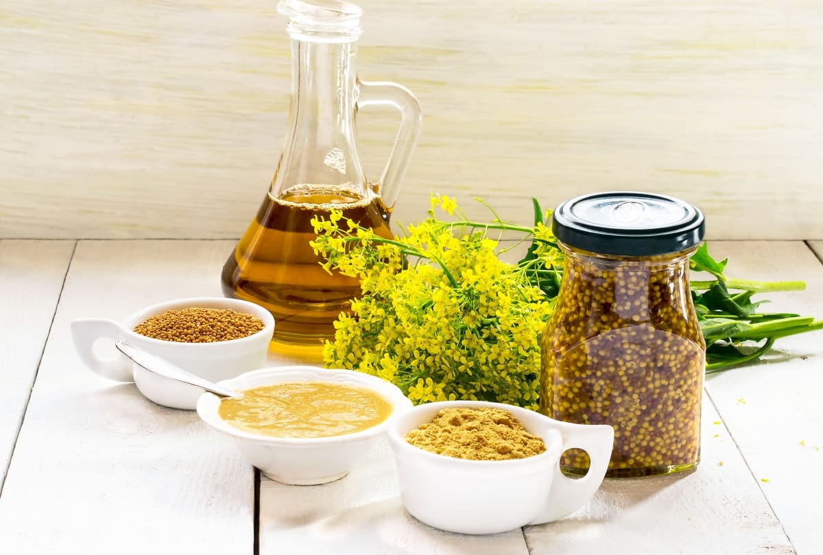 health benefits of mustard keeps away from diseases boost immune system