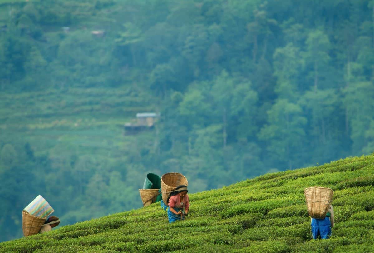 Sikkim Tour Packages Know Sikkim Best Places to Visit News in Hindi