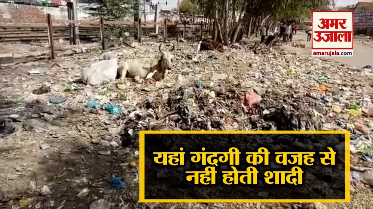 इंडिया न्यूज