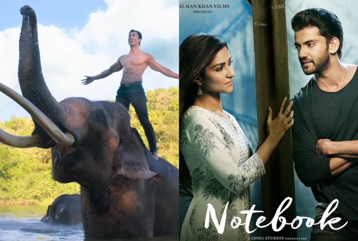 junglee and notebook movie box office prediction