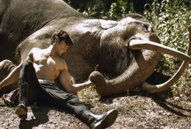 junglee and notebook movie box office prediction
