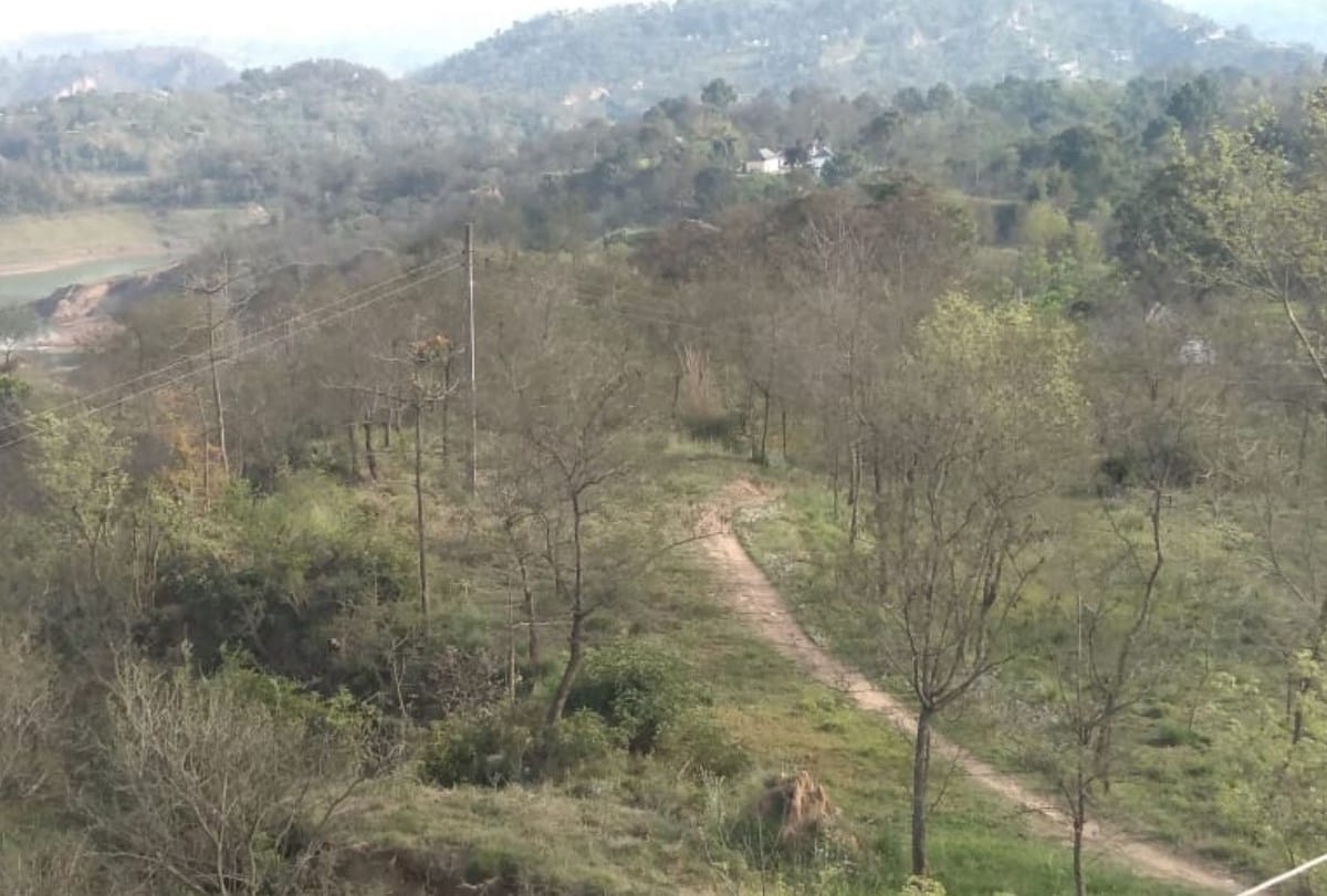 No road facility to Tangloh village since last 70 years in bilaspur himachal pradesh