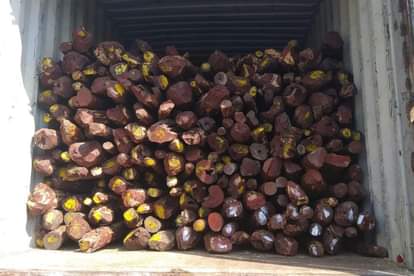 van vikas nigam will provide wood's for the funeral, MD asked officials to maintain the stocks of the same by considering the current situation