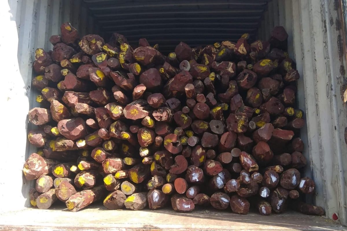 Delhi: Accused arrested with red sandalwood worth Rs 50 lakhs