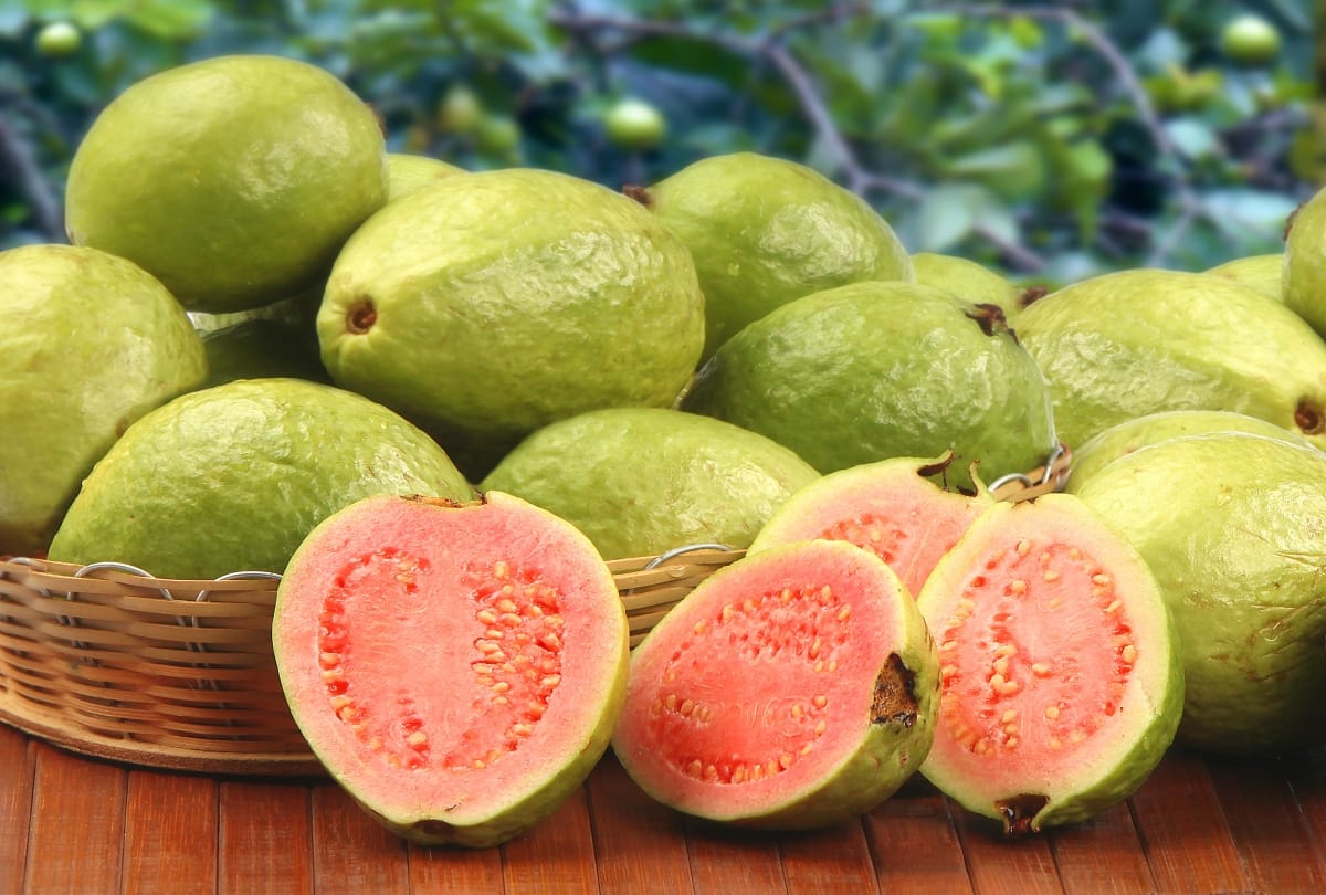 health benefits of apple and guava cure cancer and other diseases find research