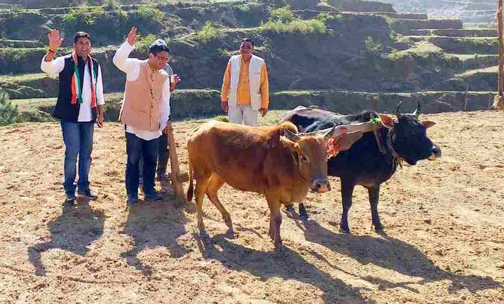 Lok sabha elections 2019 facebook india news partnership head Plowed farm