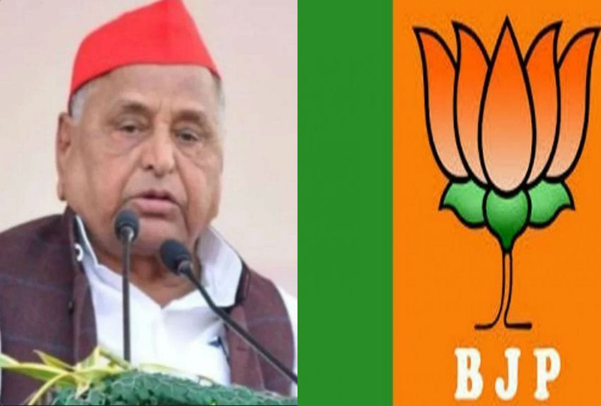 BJP MLA Mamatesh Shakya May Be Contesting Against Mulayam Singh Yadav In Lok Sabha Elections 2019