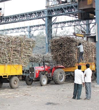 Daily Rising of 5 million cane