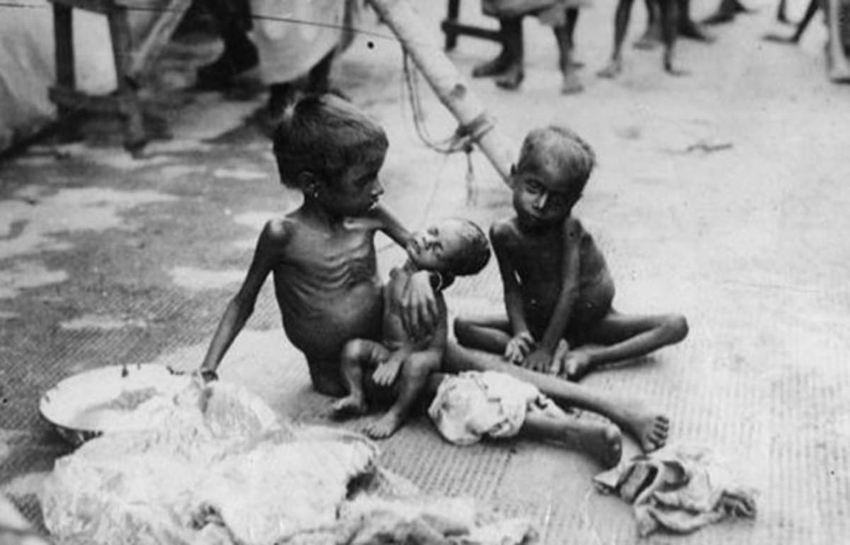 interesting story of china great famine when millions of people were killed due to locusts