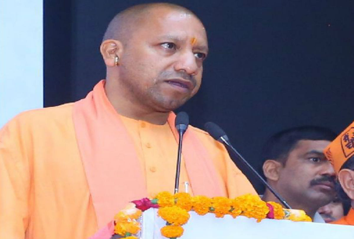 cows dying in cow shelter case : cm yogi to take video conferencing to all dm in up