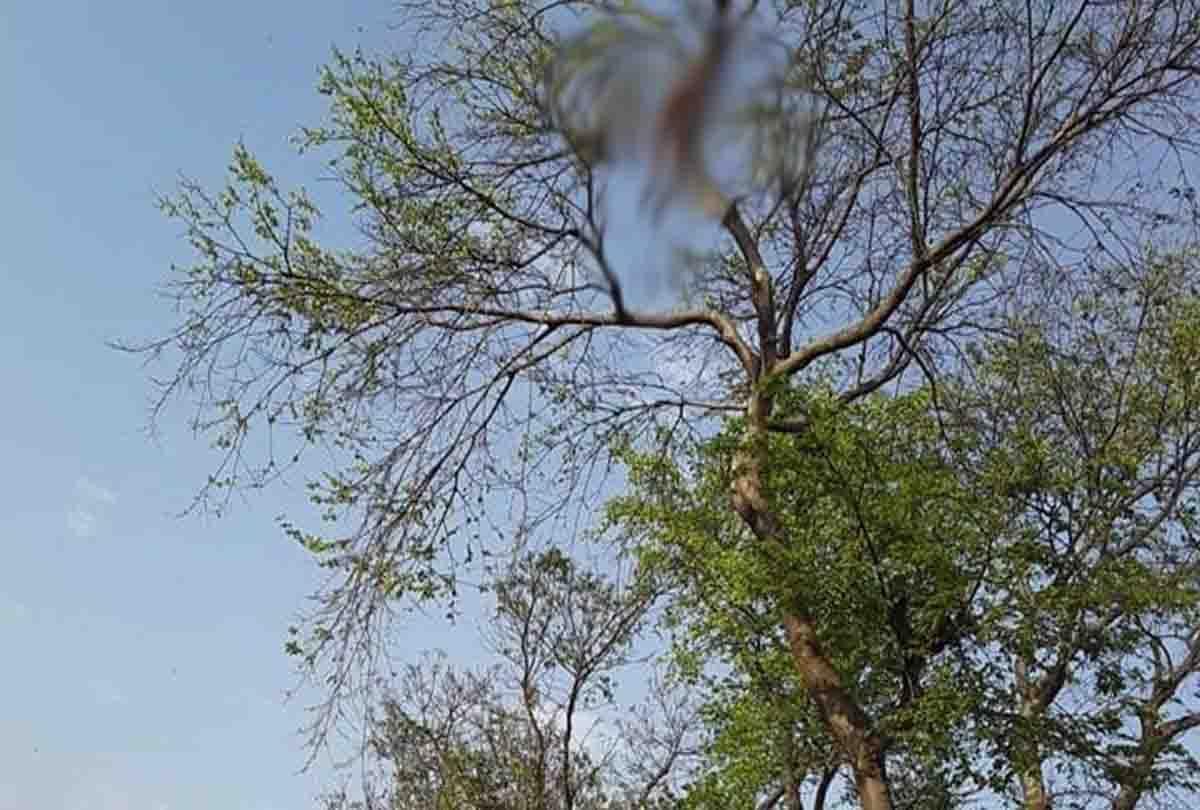 man found dead in gursahaiganj