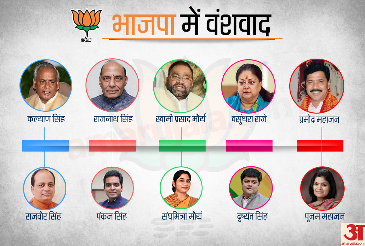 Lok Sabha Elections 2019: BJP too has an essence of dynasty politics