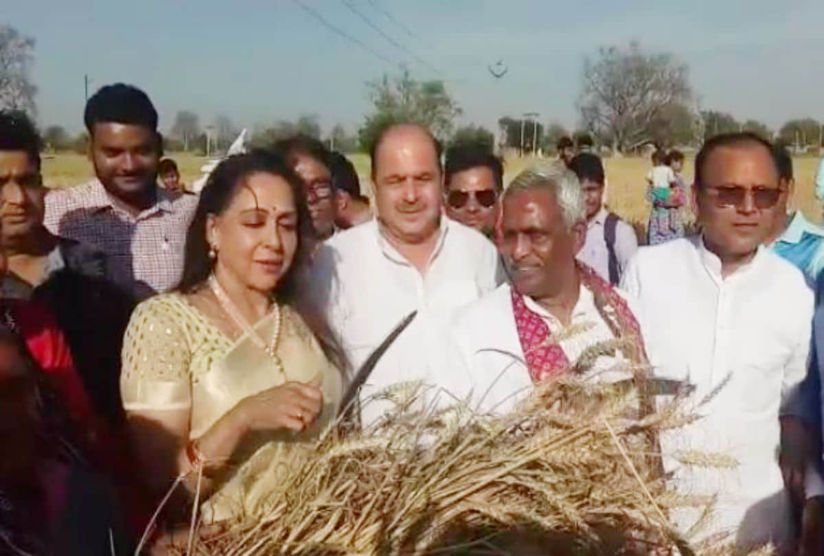 Hema Malini election campaign she Drive Tractor and Harvesting Crop