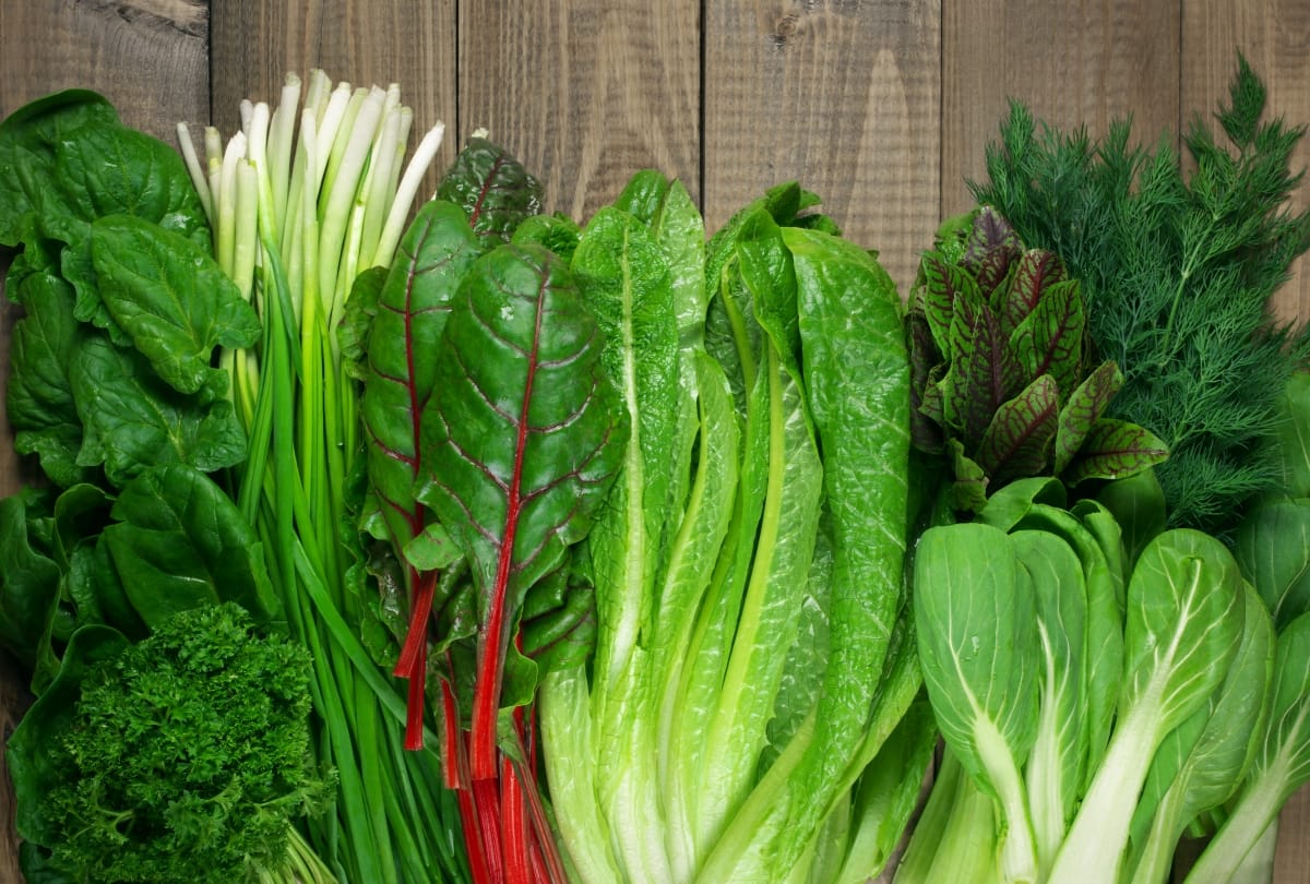 what to eat to reduce vaccine side effects, expert advice