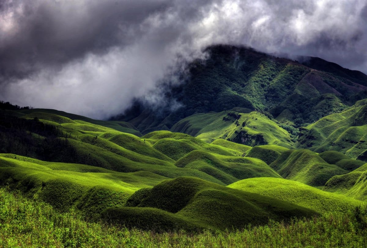 dzukou valley best destination for camping in nagaland