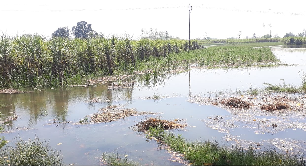 Minor tracks broken, hundreds of bigha crops submerged