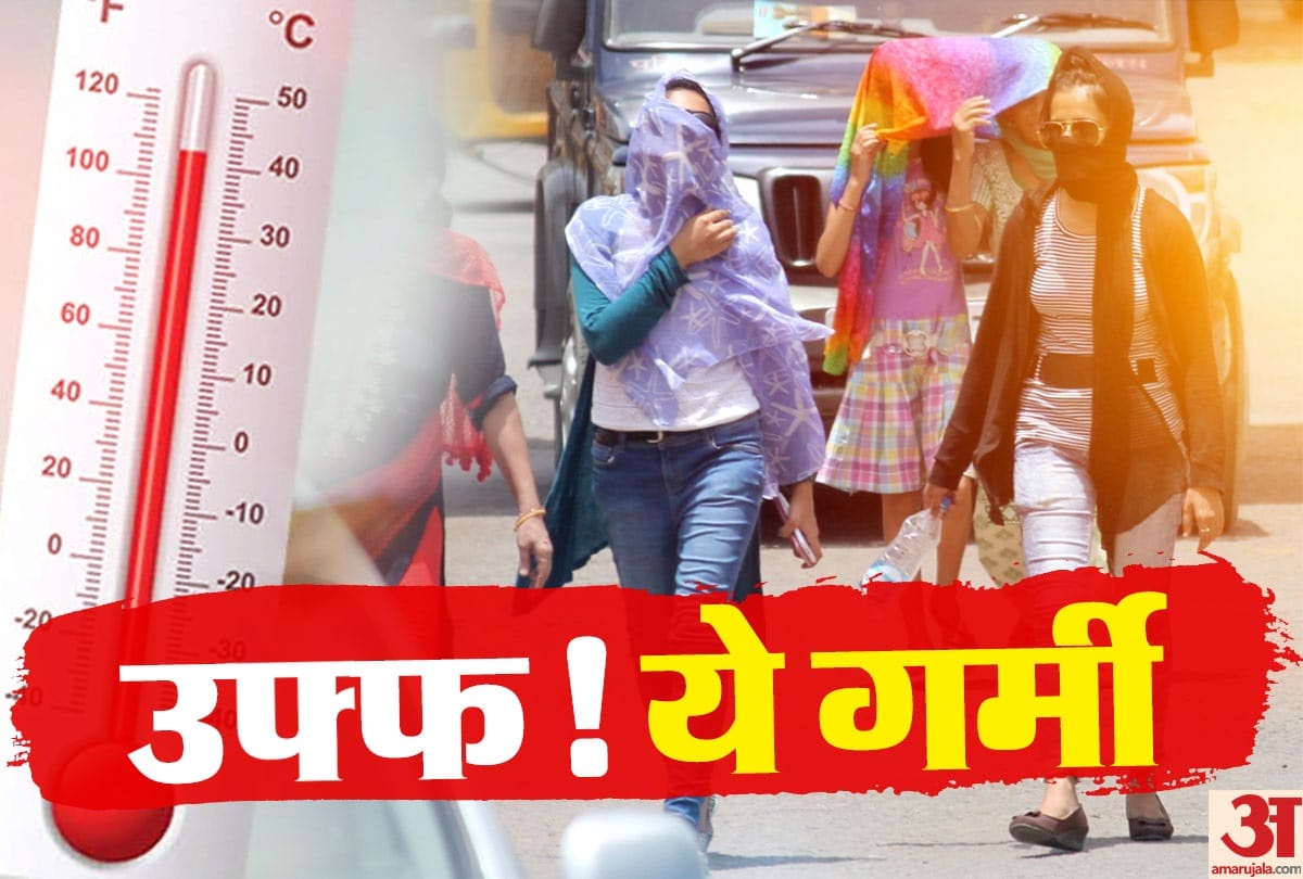dry and torrid summer land and ocean temperature increased in January 2019