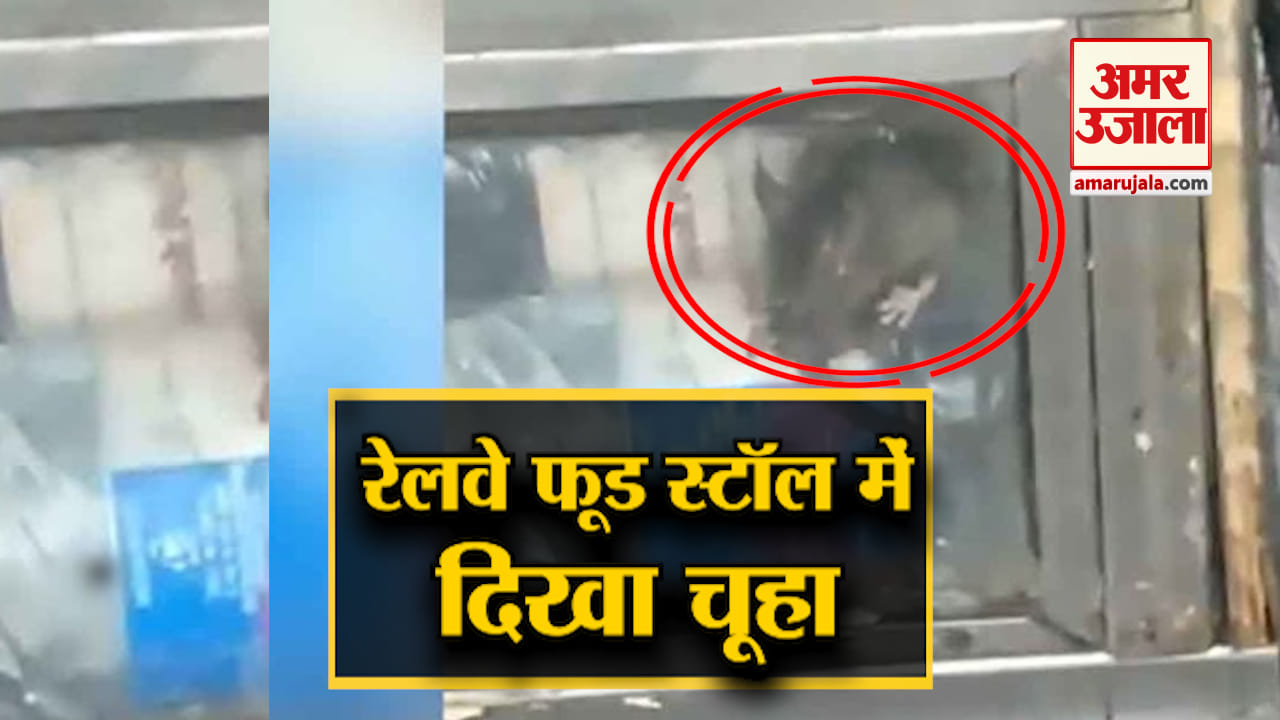 ट्रेन