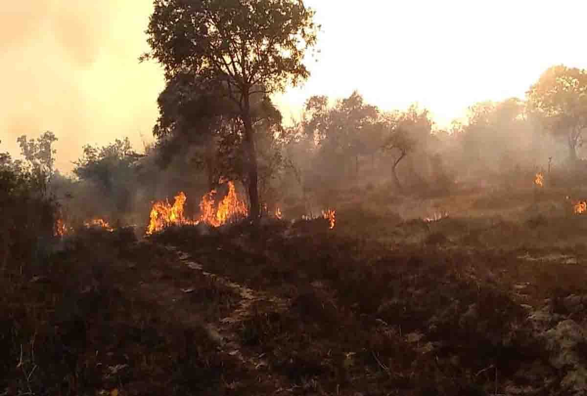 fier in ranipur wildlife sanctuary