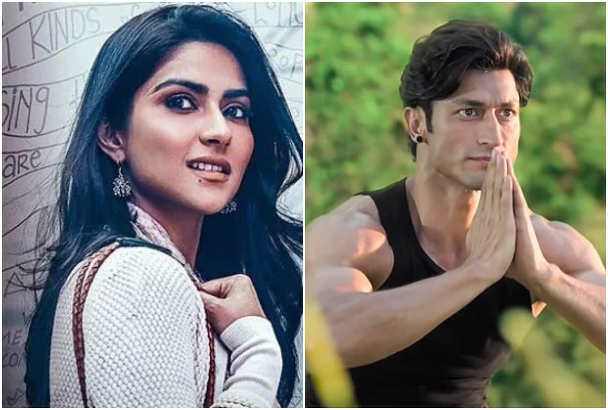 junglee and notebook movie box office collection day 3