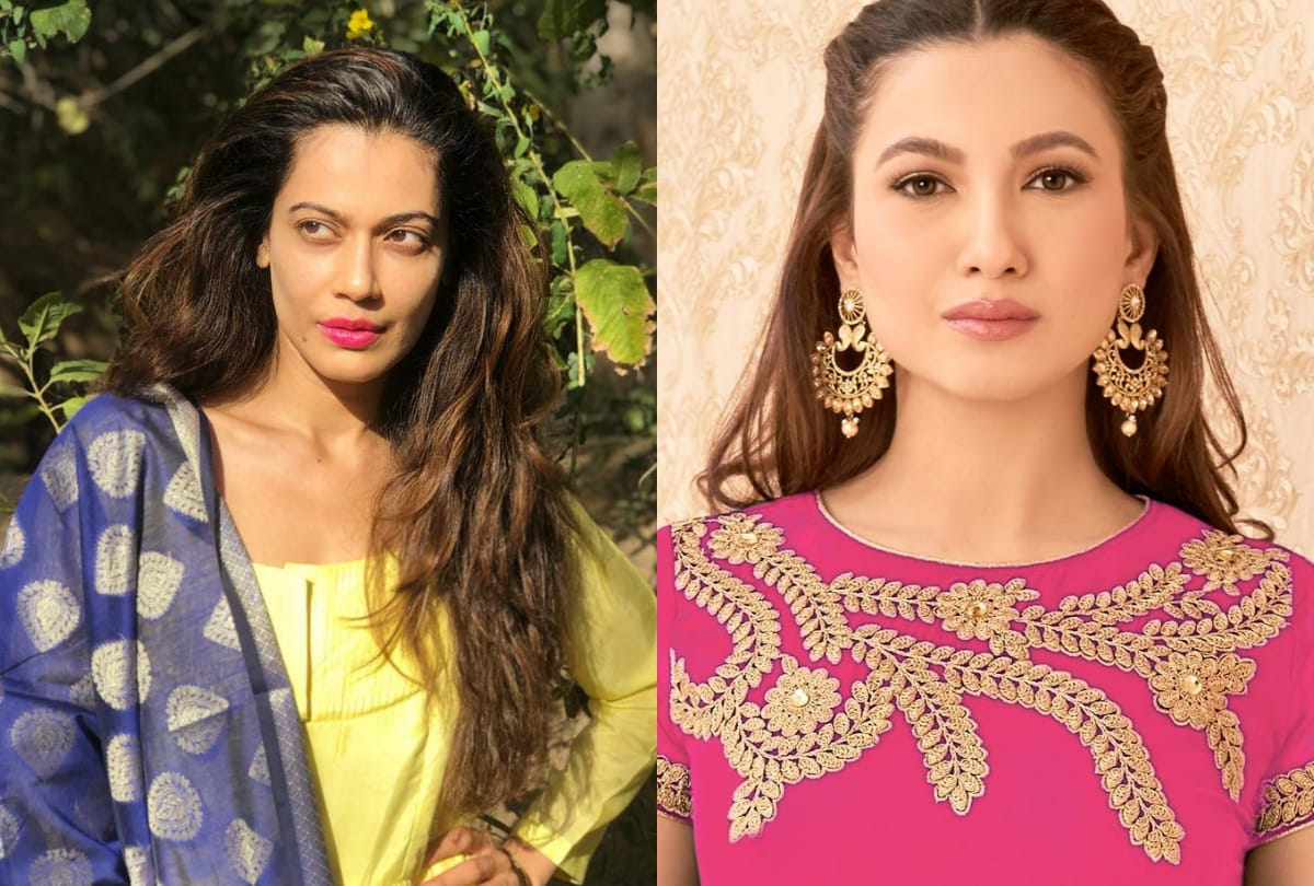bigg boss ex contestant Payal Rohatgi twitter war with gauahar khan over article 370