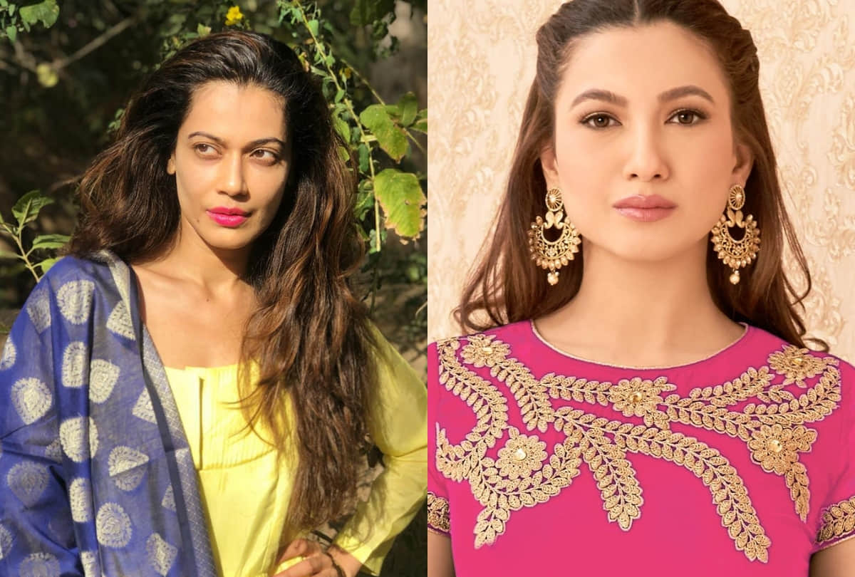 Amy Jackson Pregnant and Payal Rohatgi Gauahar Khan war here is top entertainment news