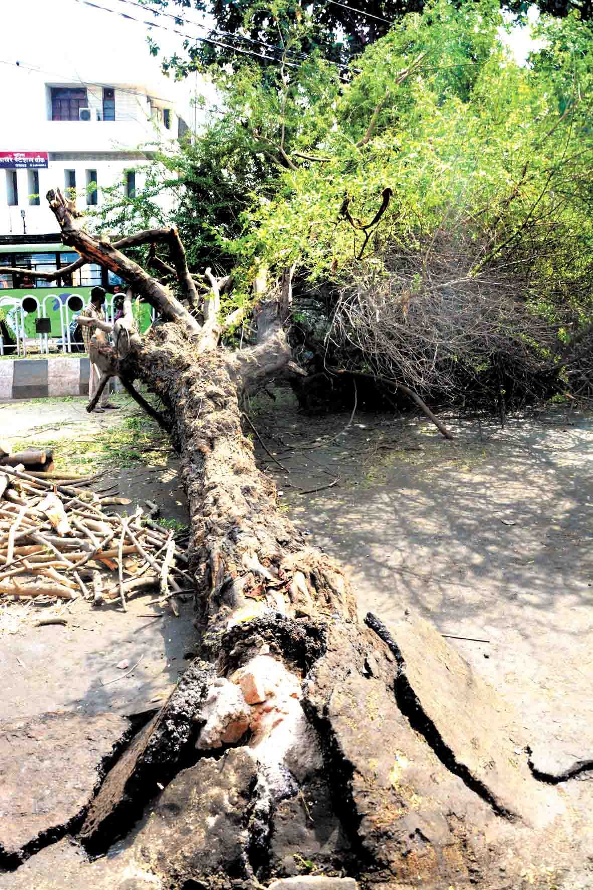 Due to Tempest, electricity has gone, traffic failure