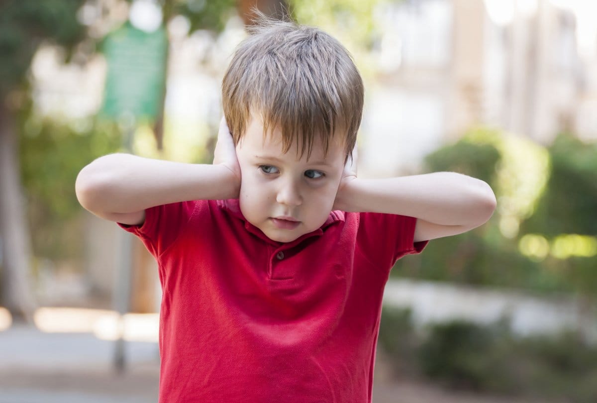 know about the cochlear implant