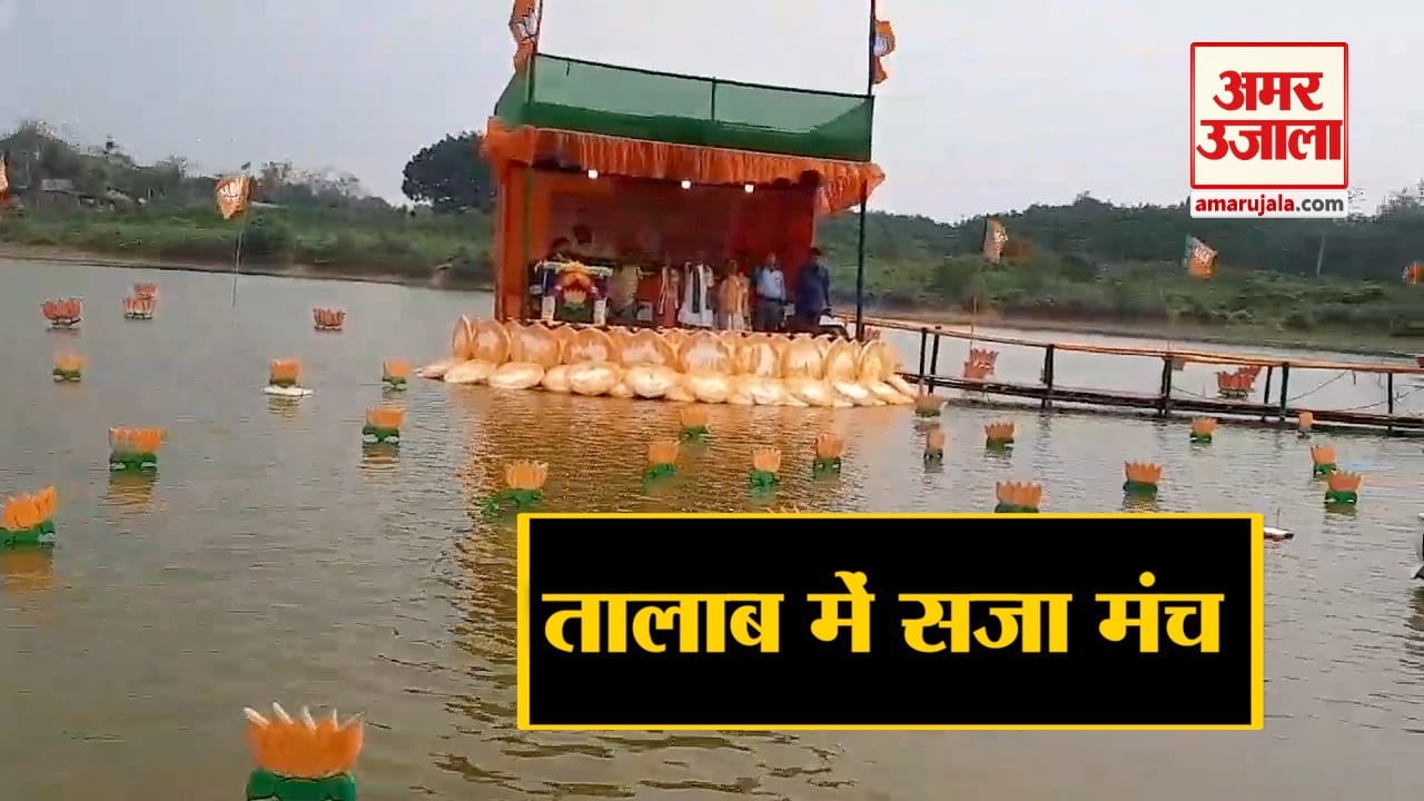 बीजेपी
