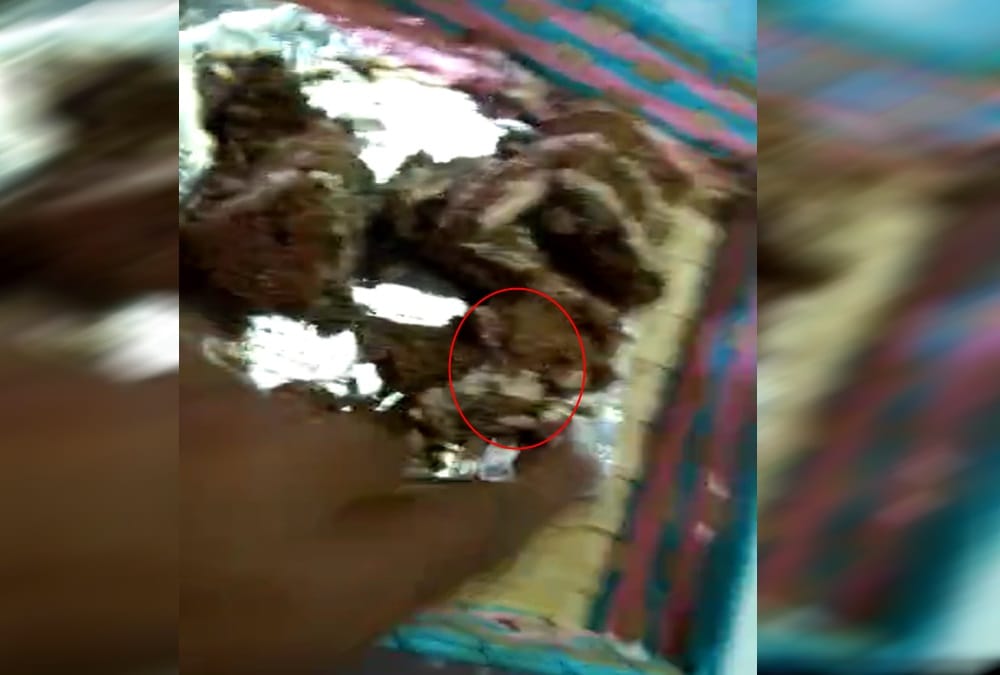 Rat Found in cake online order in dehradun video viral 