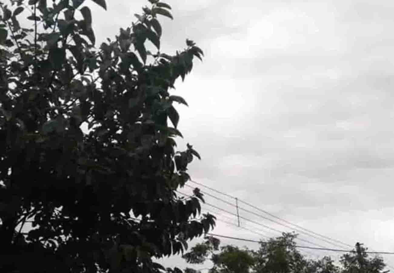 Prediction of Meteorological Department for summer