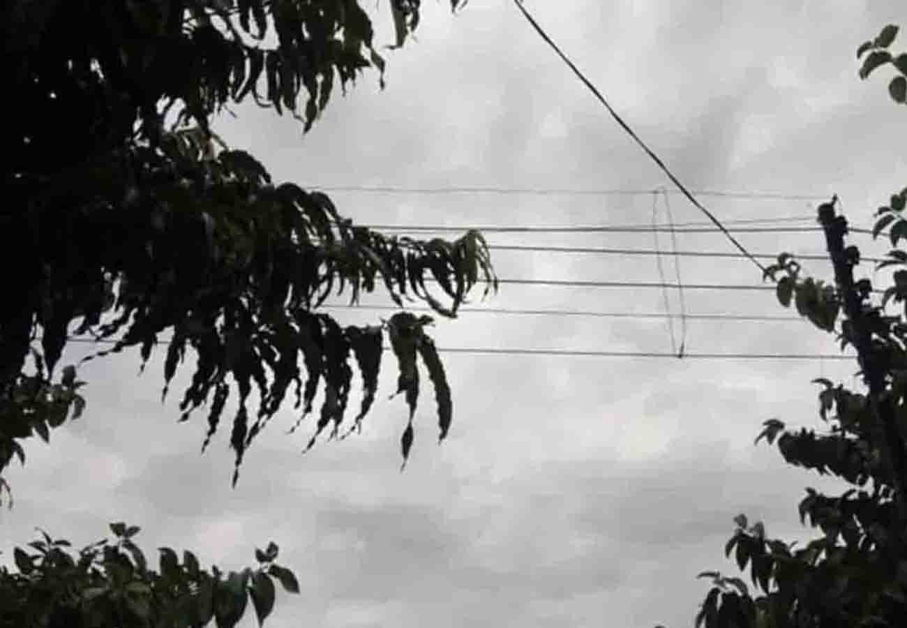Prediction of Meteorological Department for summer