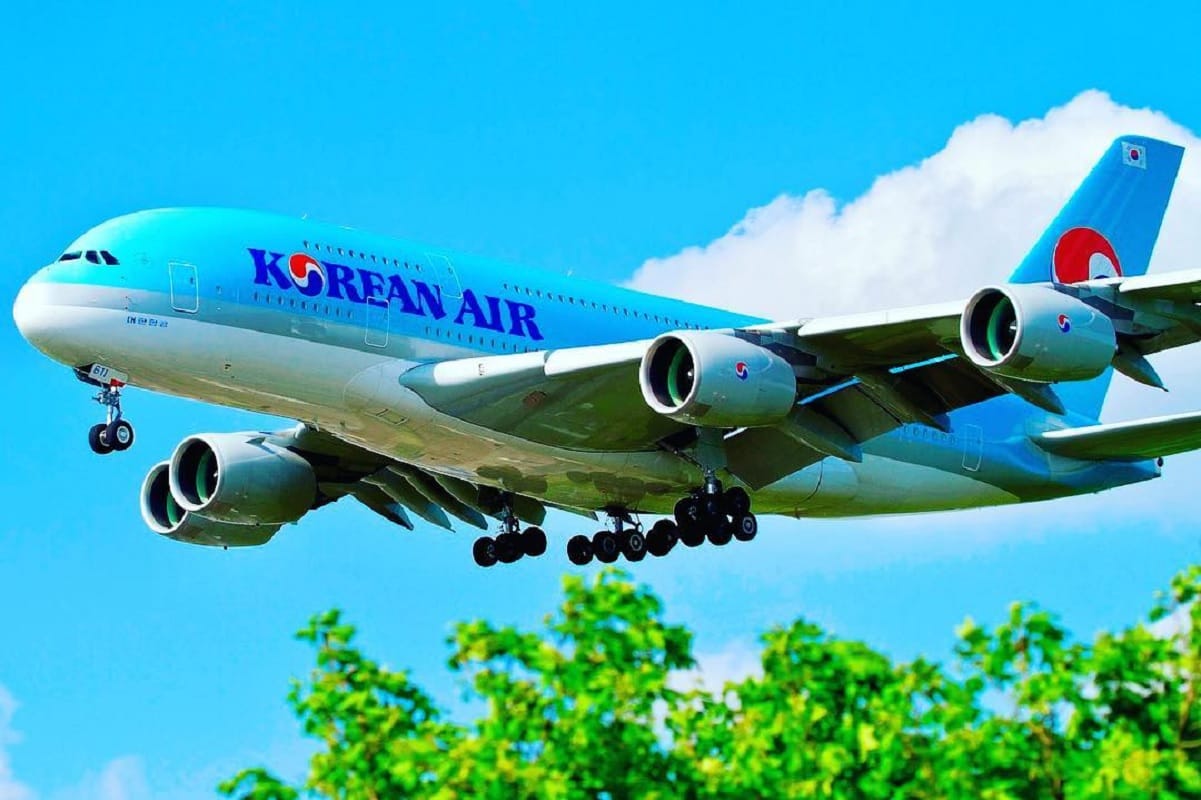 korean air peanut allergy will not serve peanut to passengers heather cho was sent to jail