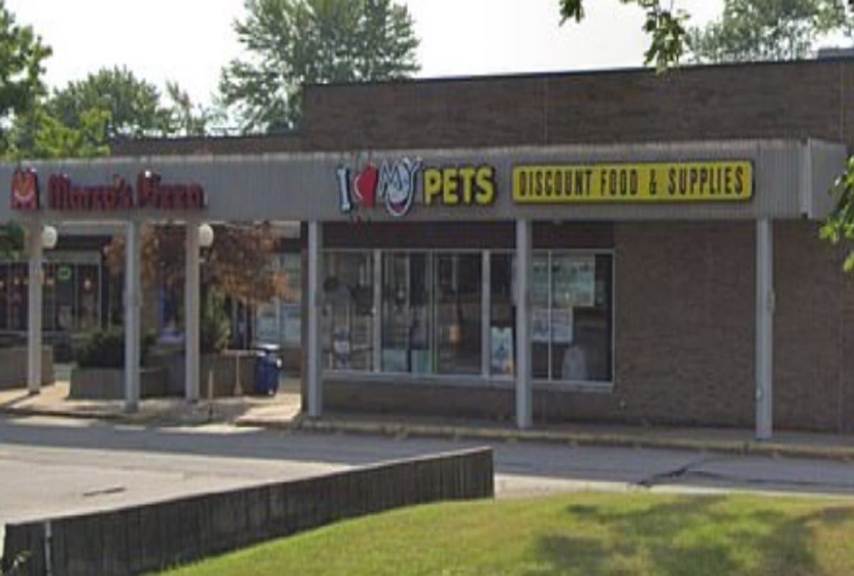 CCTV footage captures Man steals 4.5 foot python from pet store into his paint video viral