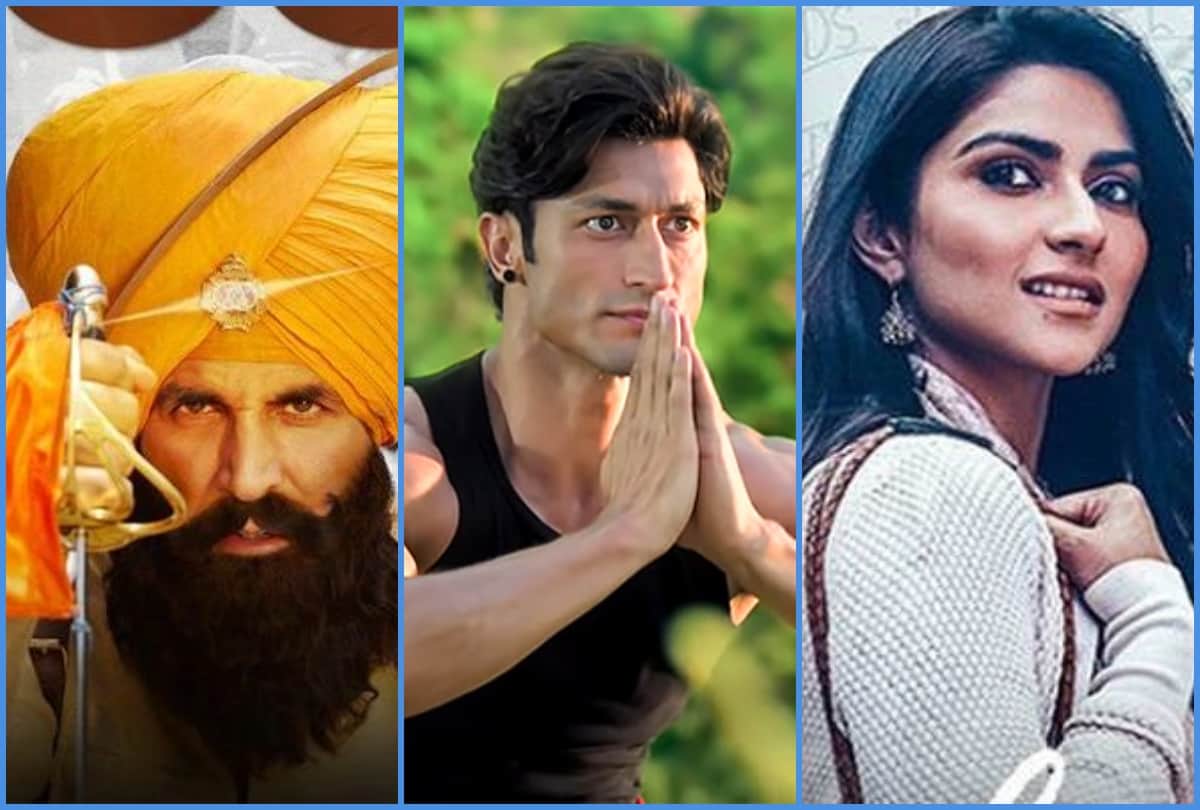 kesari junglee and notebook movie box office collection