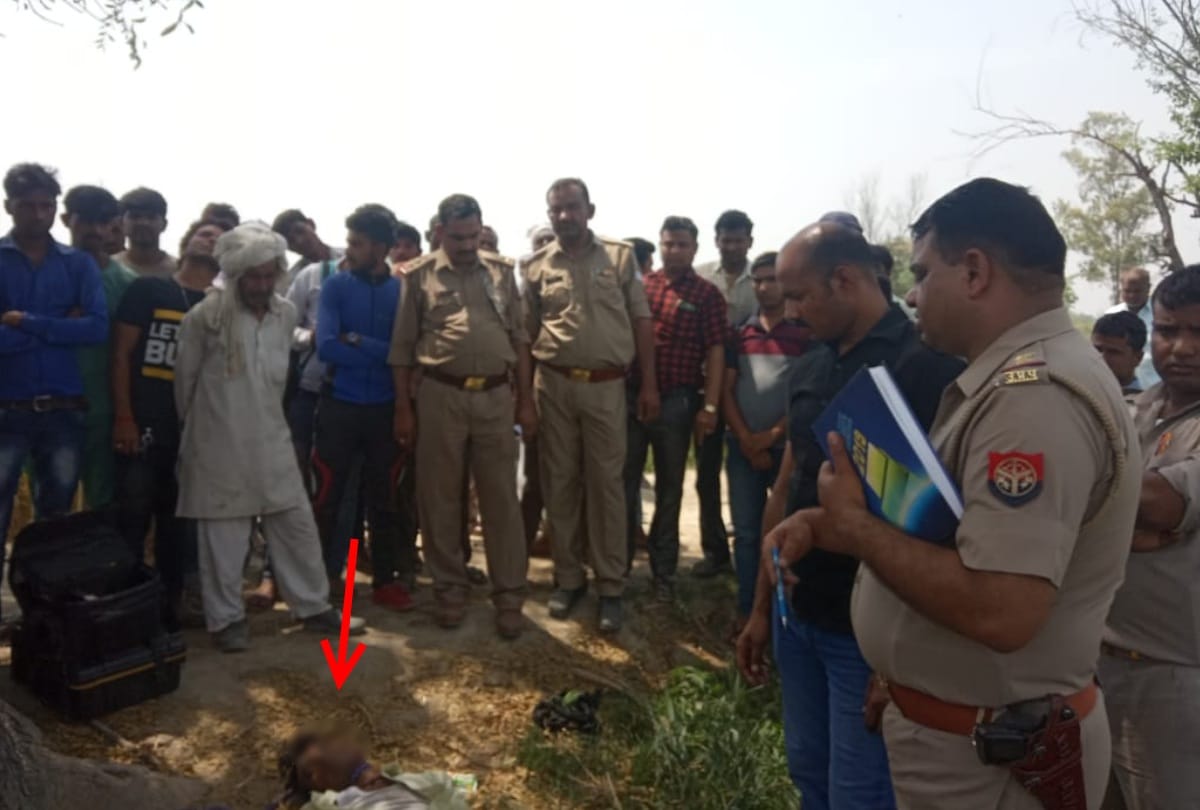 UP bulandshahr love couple dead body found in jungle on different trees read full story