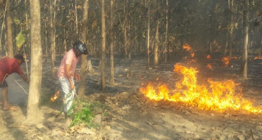 Salvani forest fire