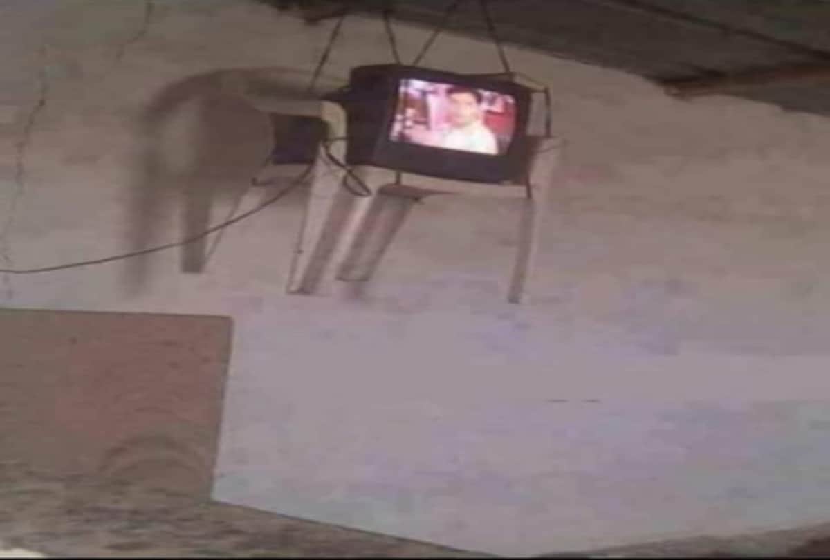 anand mahindra tweet Indians are perfect in jugaad goes viral