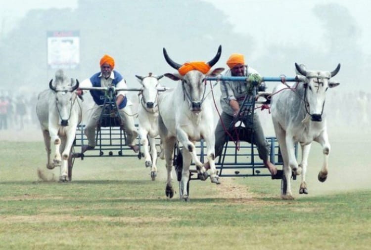 Two Days Mini Olympic Kila Raipur Games from 12 April in Ludhiana of Punjab