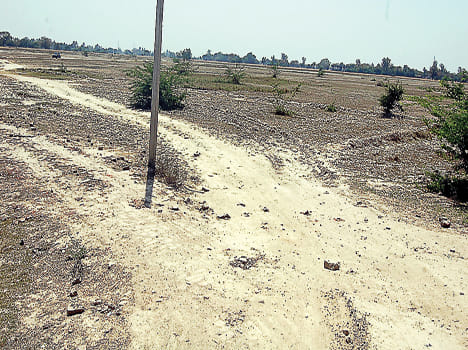 Airport is missing in electoral issues
