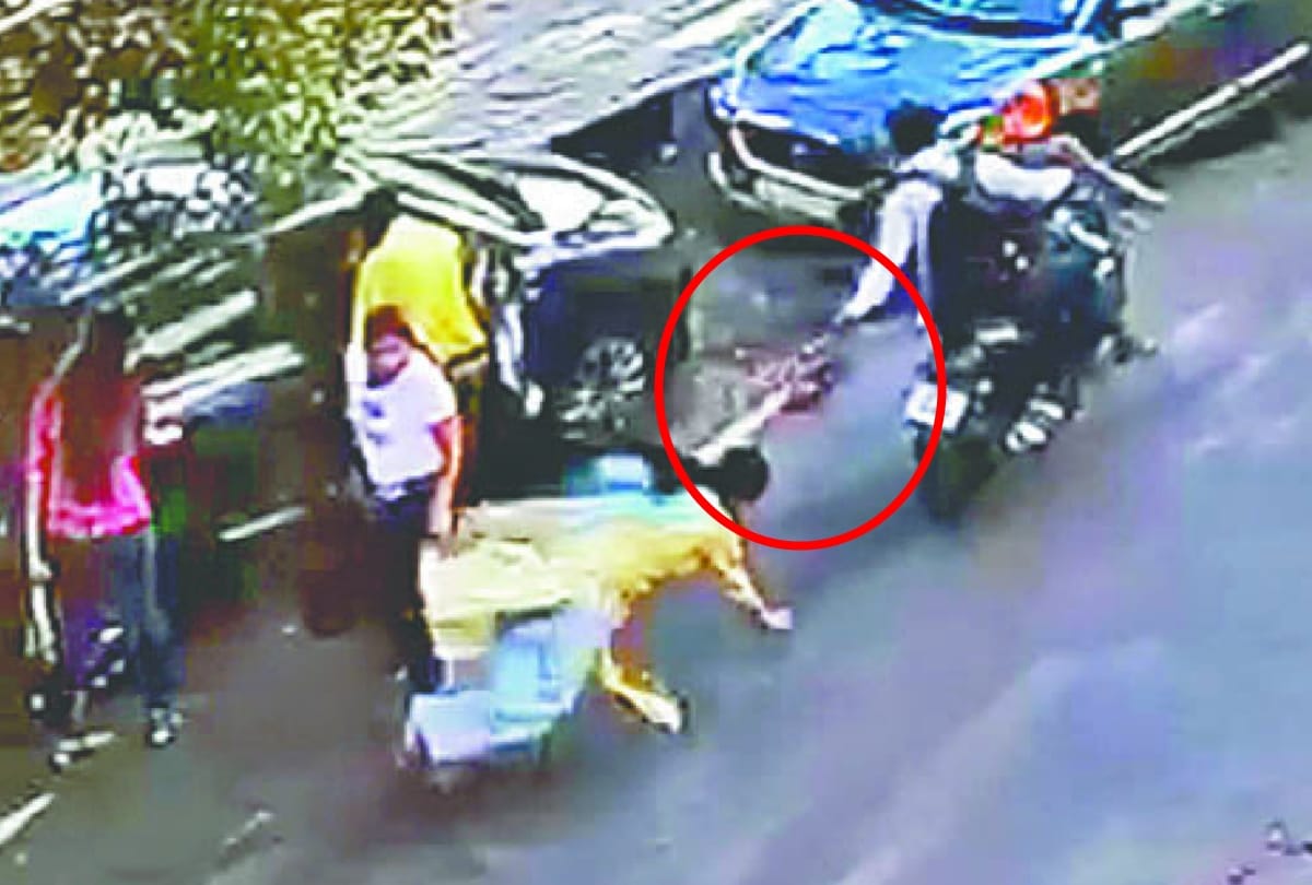 CCTV caught Miscreants try to snatching by old women in delhi