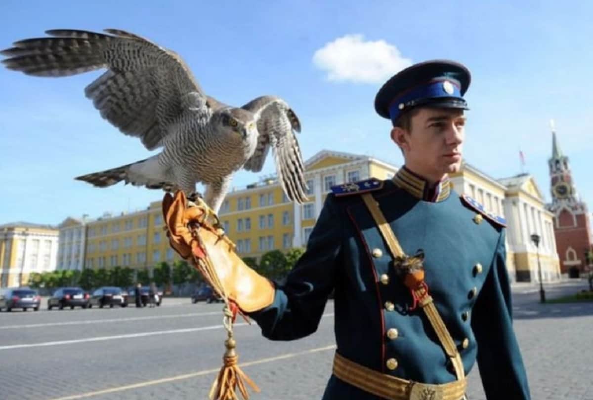 eagle owls is guarding Russian President Vladimir Putin house Kremlin in moscow