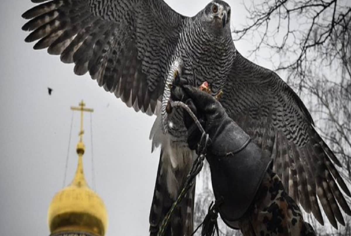 eagle owls is guarding Russian President Vladimir Putin house Kremlin in moscow