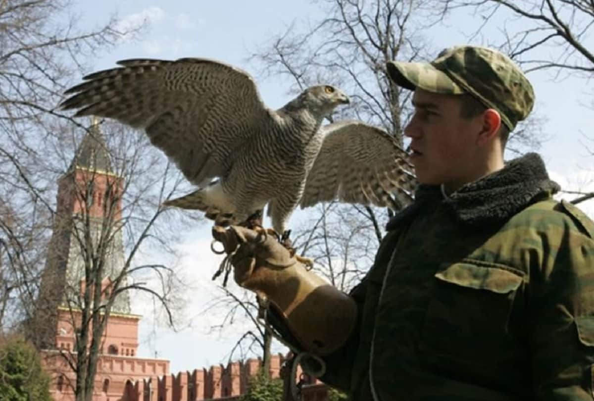 eagle owls is guarding Russian President Vladimir Putin house Kremlin in moscow
