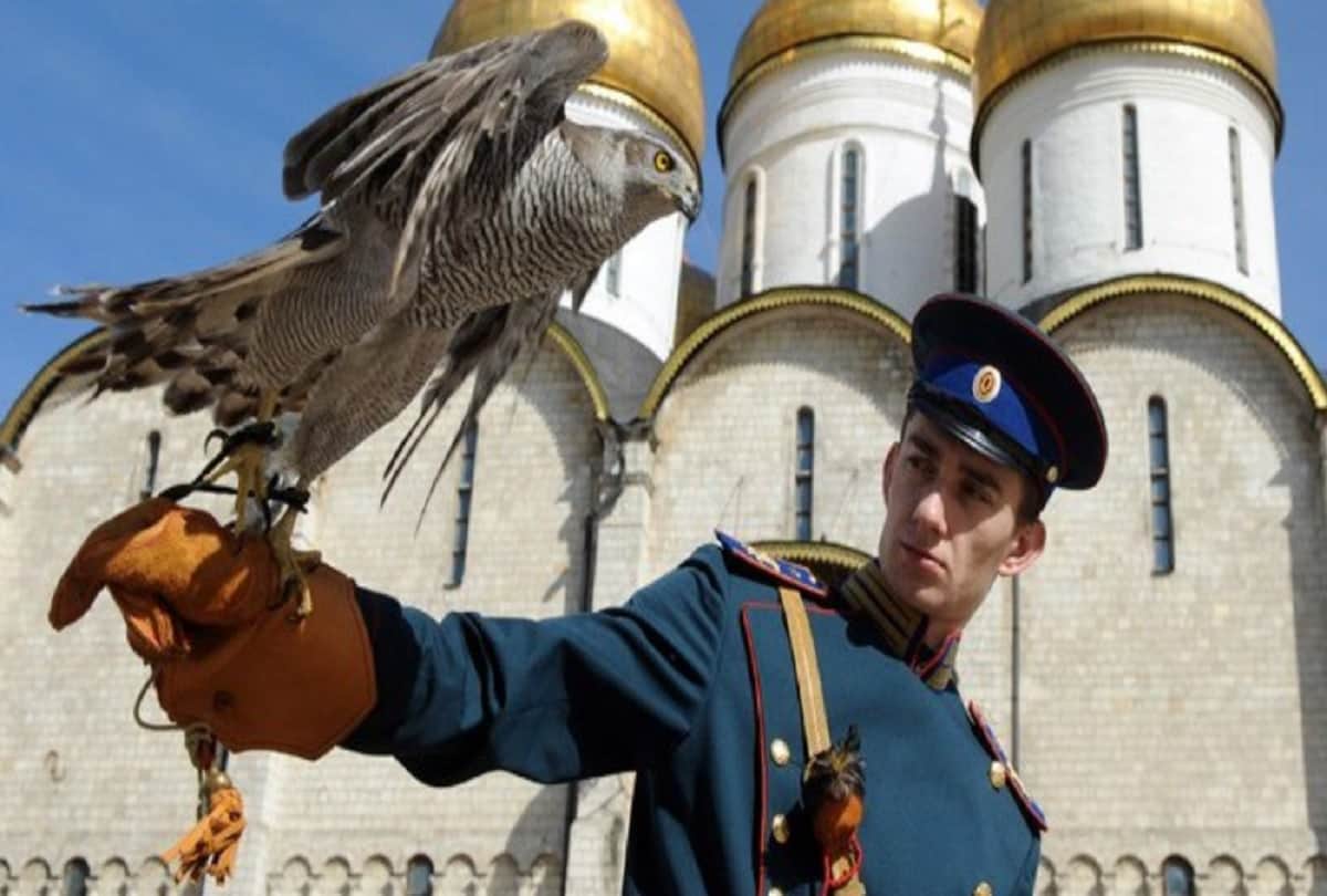 eagle owls is guarding Russian President Vladimir Putin house Kremlin in moscow