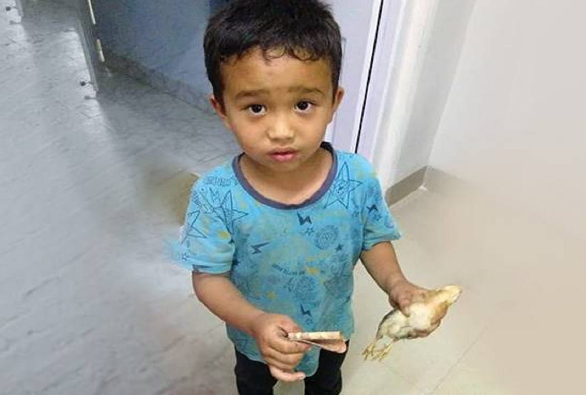 Mizoram boy accidentally runs over chicken, reached Hospital for treatment with some money