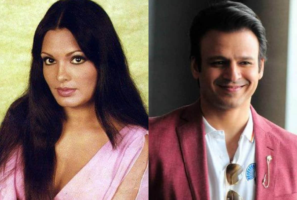 parveen babi birth anniversary and Vivek Oberoi speak over congress here is top entertainment news
